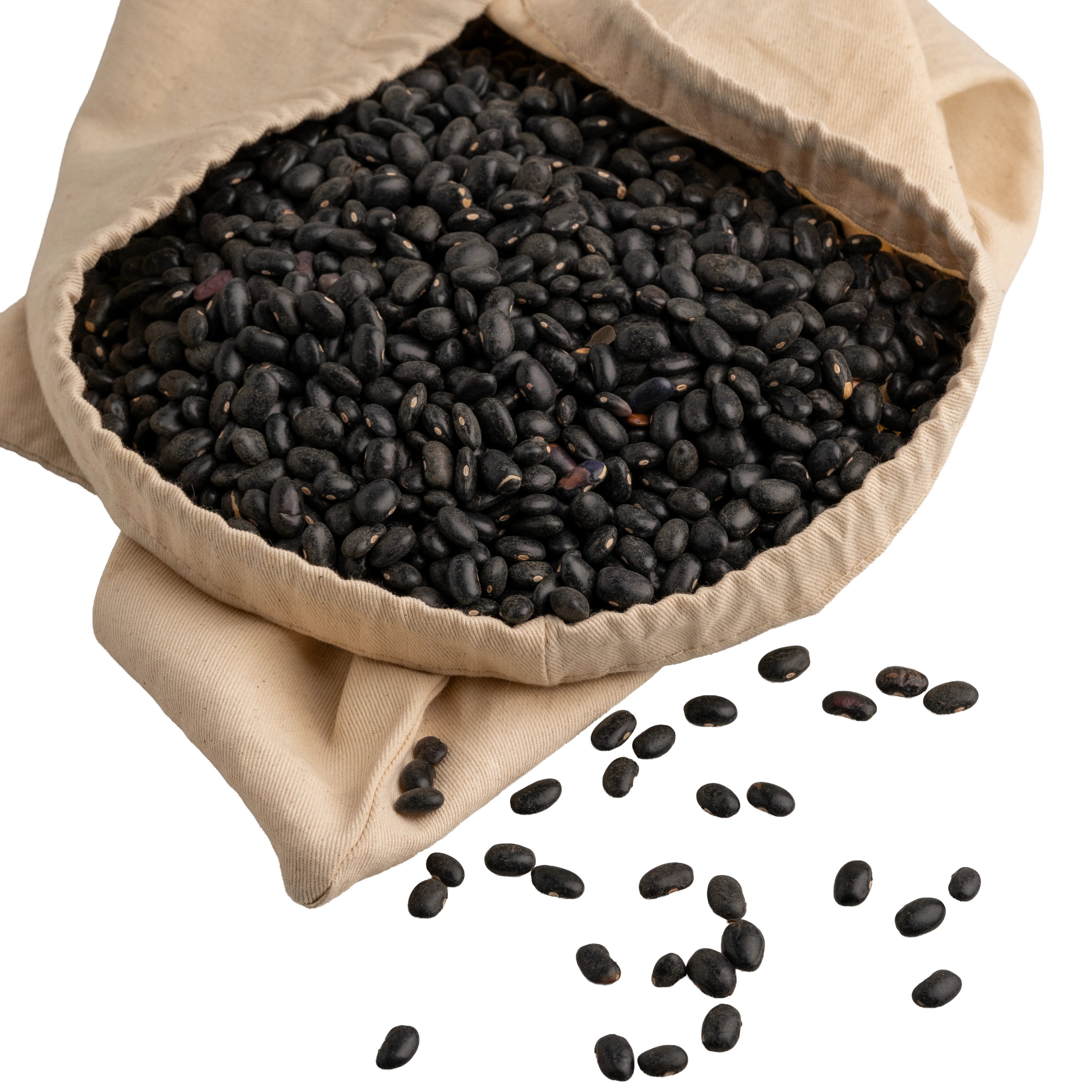 FRIJOL NEGRO ORGANICO-6