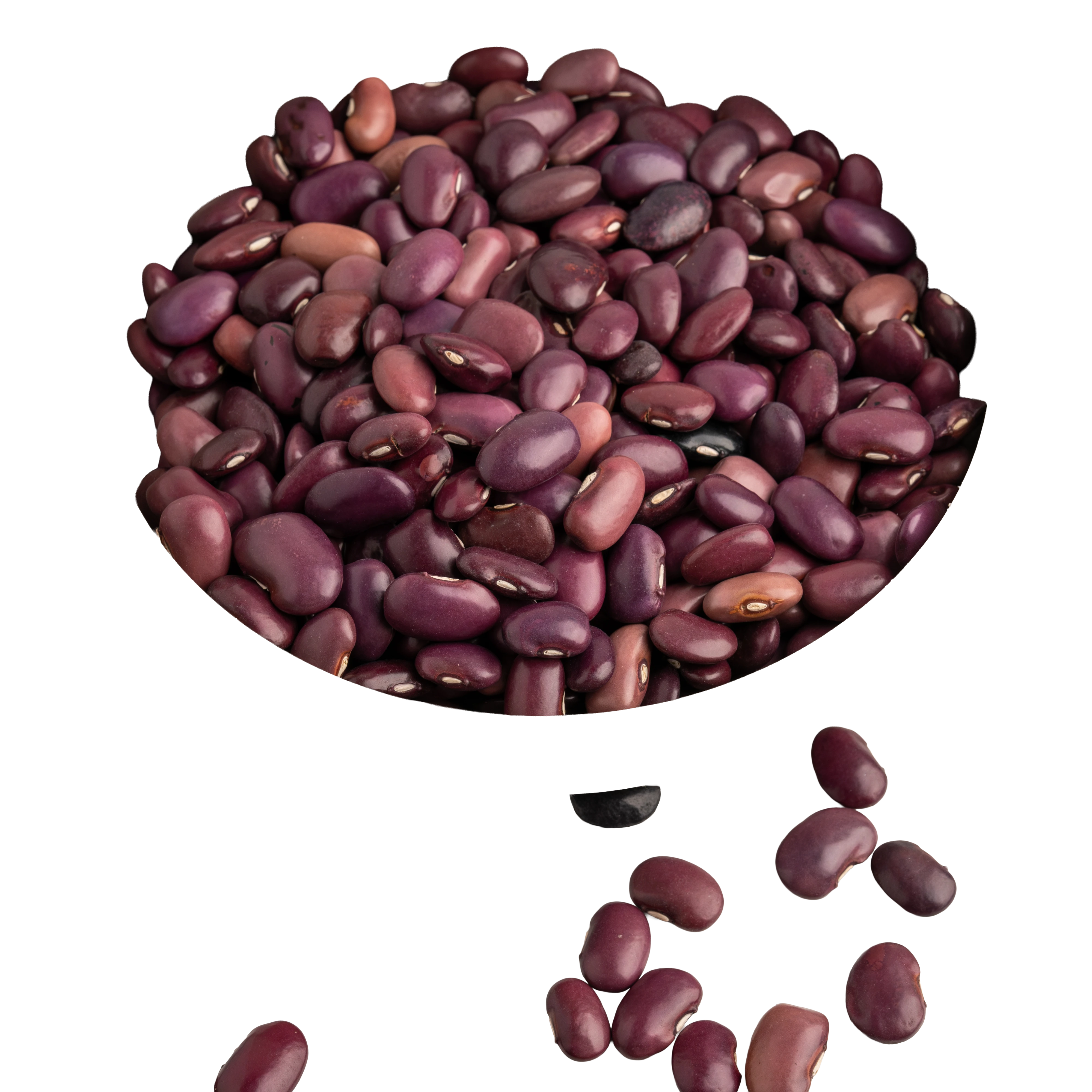 FRIJOL ORGANICO AYOCOTE MORADO-6
