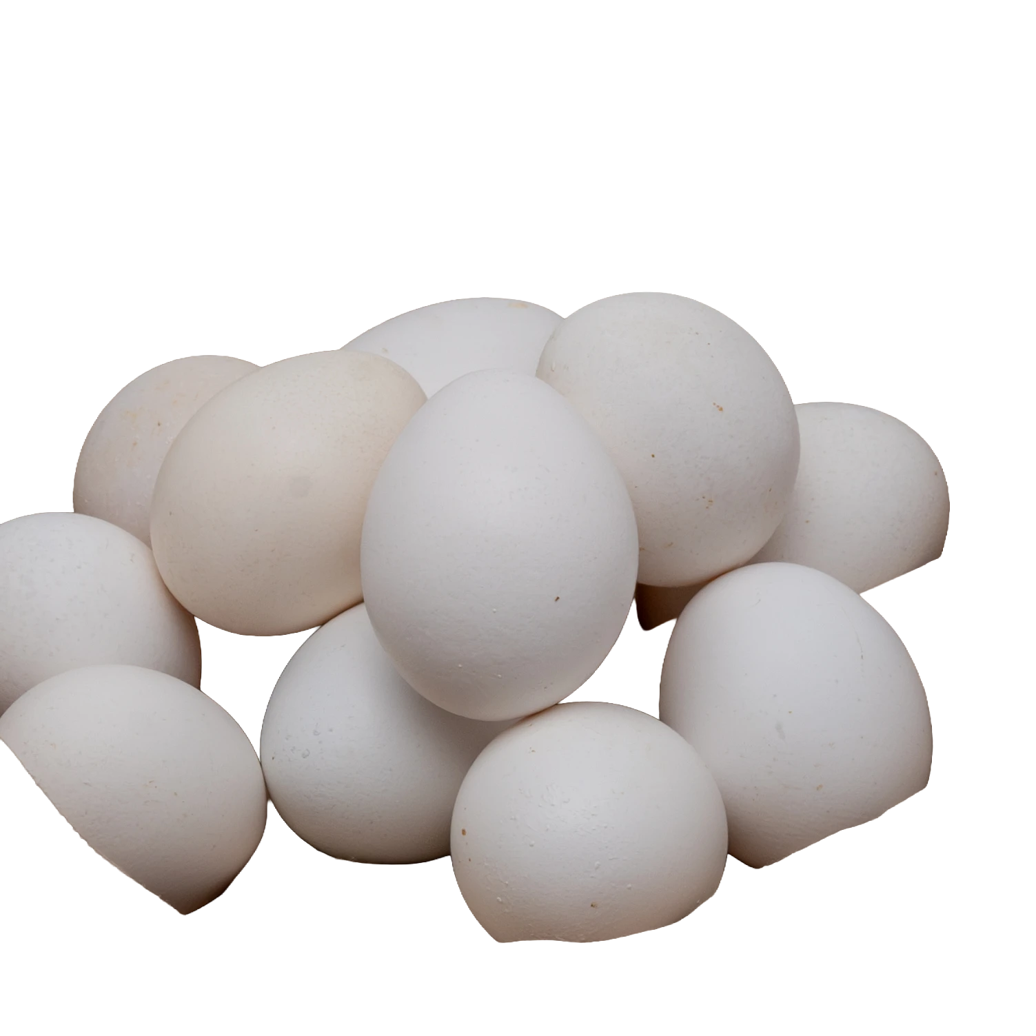 HUEVO BLANCO ORGANICO-7